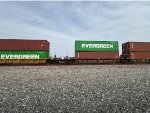 BNSF 239442